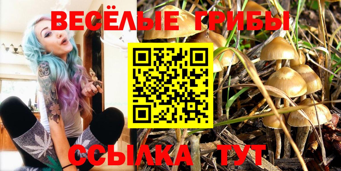 Астрахань  что такое наркотик  Вход с VPN  Псилоцибиновые грибы MAGIC MUSHROOMS 